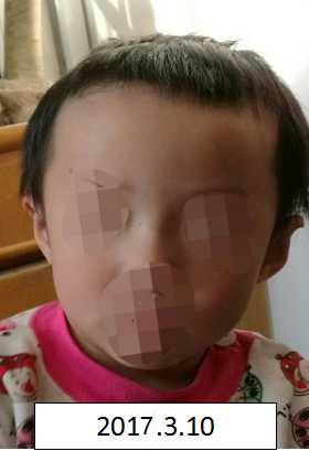 美女草逼下载